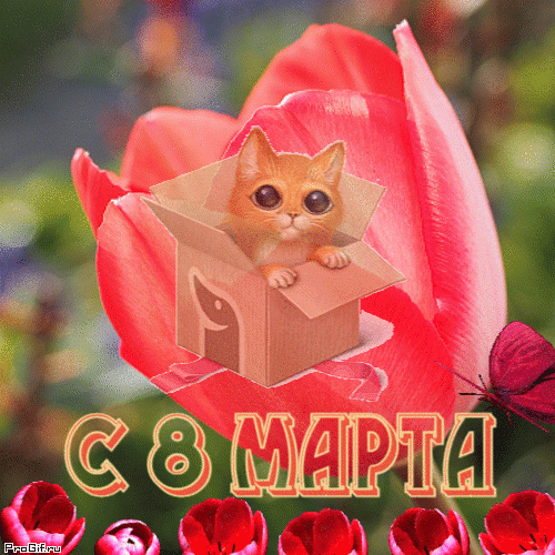 Котенок открытка на 8 марта анимированная гиф открытка скачать