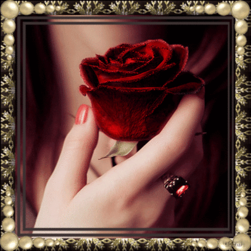 Красивая роза гифка