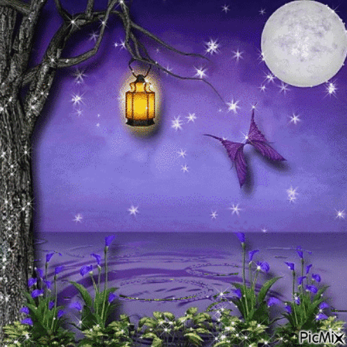 Ночь и красивая луна